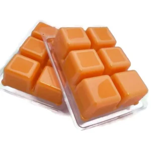Transparent Clear Plastic Pet 6 Cavity Wax Melt Packaging Clamshells for Wax Melts