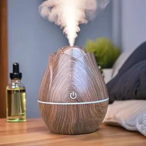 USB Essential Aroma Humidifier Diffuser with Rose Design for Car
