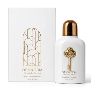 Unisex Middle Eastern Arabian Dubai Perfume 100ml Dubai Eau De Parfum Spray Fresh Scent Eco-Friendly