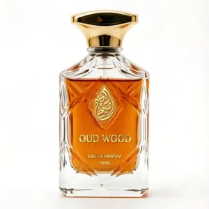 Unisex Oud Wood Perfume 100ml EDP Private Label Custom Logo Halal Gift Box Fragrance