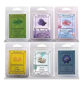 Wax Melts Tarts Clam Shell Wax Melt